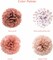 Rose Gold Tissue Paper Pom Poms Flowers Dusty Pink Coral Polka Dot Wall Hanging Wedding Birthday Bridal Baby Shower Party Decorations 12" 10" Pack of 12